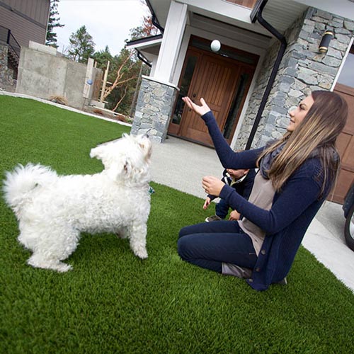image of Pet friendly artificial grass for your furry friends available at SYNLawn Nebraska